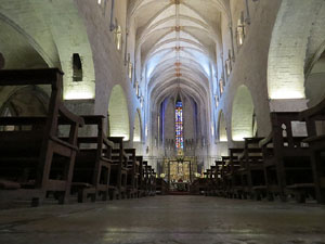 Temps de Flors 2016. Esgl&eacute;sia de Sant Feliu. La nau i les capelles laterals