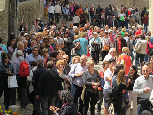 Temps de Flors 2016. Esgl&eacute;sia de Sant Lluc - Castrum dels manaies de Girona