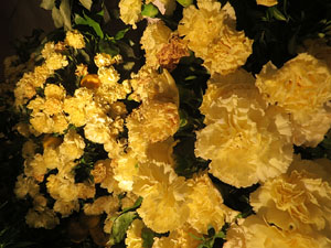 Temps de Flors 2016. Muntatges i instal&middot;lacions a l'esgl&eacute;sia de Sant Mart&iacute; - Seminari