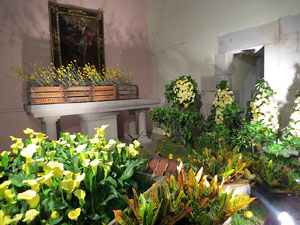 Temps de Flors 2016. Muntatges i instal&middot;lacions a l'esgl&eacute;sia de Sant Mart&iacute; - Seminari