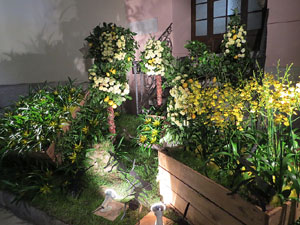 Temps de Flors 2016. Muntatges i instal&middot;lacions a l'esgl&eacute;sia de Sant Mart&iacute; - Seminari