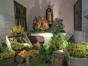 Temps de Flors 2016. Muntatges i instal&middot;lacions a l'esgl&eacute;sia de Sant Mart&iacute; - Seminari