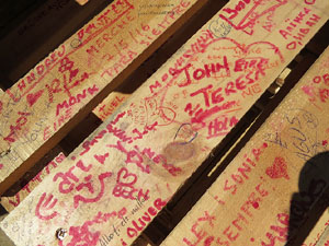 Temps de Flors 2016. Sant Dom&egrave;nec i Universitat de Girona