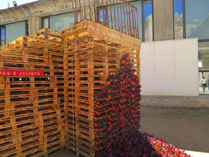 Temps de Flors 2016. Sant Dom&egrave;nec i Universitat de Girona