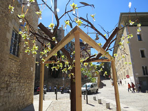Temps de Flors 2016. Sant Dom&egrave;nec i Universitat de Girona