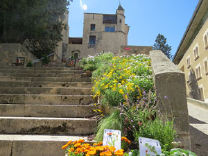 Temps de Flors 2016. Sant Dom&egrave;nec i Universitat de Girona