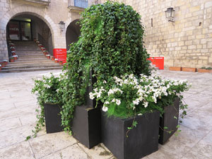 Temps de Flors 2016. Diversos espais al voltant de la Catedral: pati del Museu d'Art, la Font de la Pera, els Jardins de la Francesa, el carrer de Ferran el cat&ograve;lic