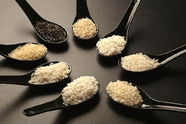 Tipus d'arrossos. Imatge de lalonjadelmar.com