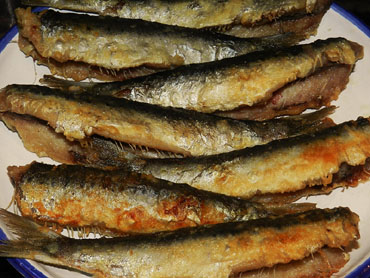 Les sardines fregides