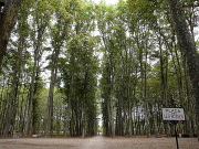El Parc de la Devesa