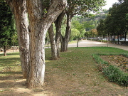 Els Jardins de Pedret