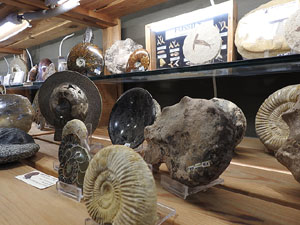 La botiga dels minerals