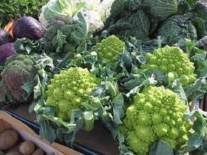 Ecocab&agrave;s, mercat ecol&ograve;gic i artesanal