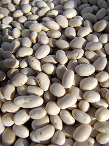 Ecocabàs, mercat ecològic i artesanal