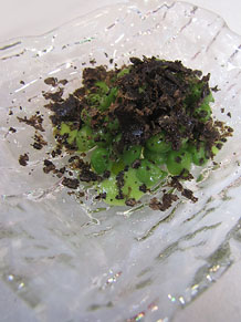 Fòrum Gastronòmic 2013