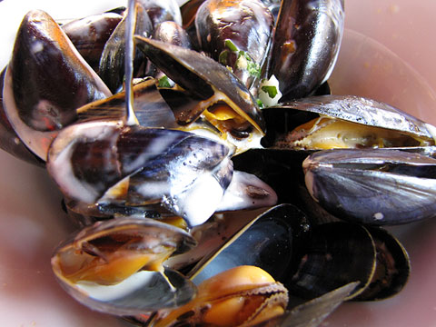 Menú d'agost. Els musclos amb salsa de formatge