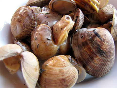 Menú d'agost. Les cloïsses amb salsa de formatge