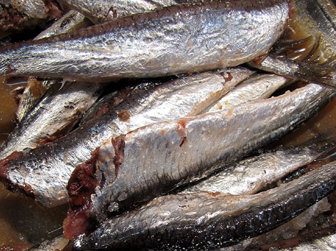 Anxoves en salaó