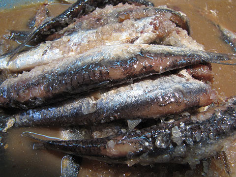 Anxoves en salaó