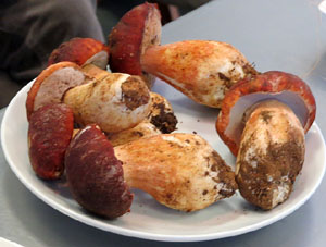 Aula Gastronòmica del Mercat del Lleó