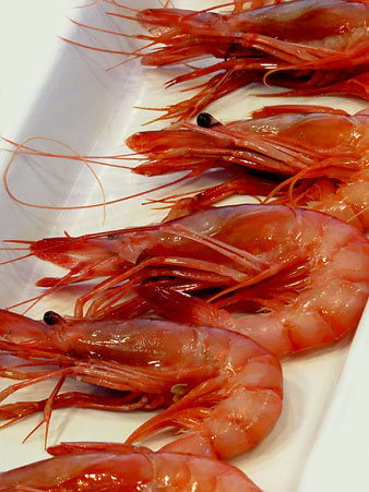 Sessió inaugural de l'Aula Gastronòmica del Mercat del Lleó