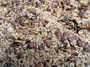 5a. Jornada de Cuina al carrer Cort Reial i rodalia