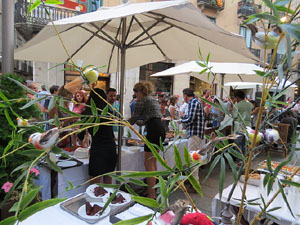 7a Jornada de Cuina al Carrer Cort Reial i 