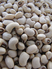 Ecocab&agrave;s, mercat ecol&ograve;gic i artesanal