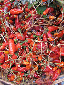 Ecocab&agrave;s, mercat ecol&ograve;gic i artesanal