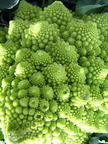 Ecocab&agrave;s, mercat ecol&ograve;gic i artesanal