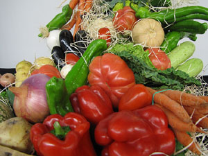 Firatast 2013 a Fira de Girona