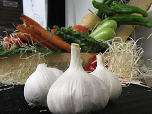 Firatast 2013 a Fira de Girona