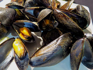 Firatast 2015 a Fira de Girona