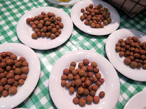 Firatast 2015 a Fira de Girona