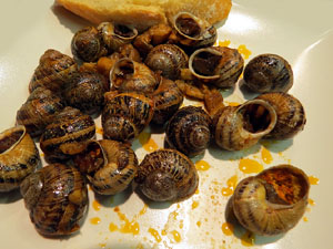 Firatast 2015 a Fira de Girona