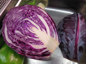 Firatast 2015 a Fira de Girona