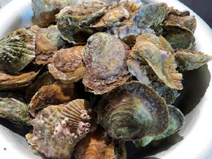 Firatast 2015 a Fira de Girona