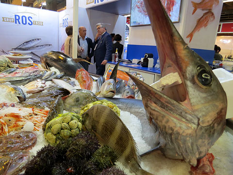 Estands dels F&ograve;rum