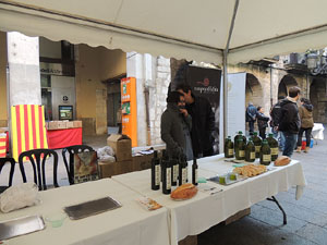 Presentació de l'oli nou de la DOP Oli de l'Empordà 2013
