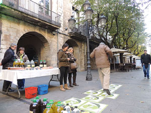 Presentació de l'oli nou de la DOP Oli de l'Empordà 2013