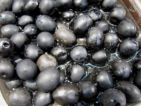 Varietat: Olives d'Aragó