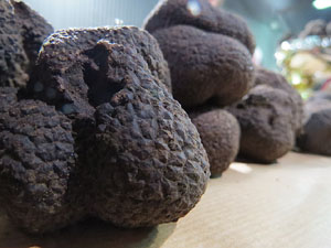 IX Jornades gastronòmiques de la tòfona 2015