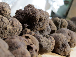 IX Jornades gastronòmiques de la tòfona 2015