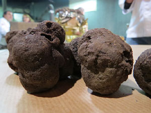 IX Jornades gastronòmiques de la tòfona 2015