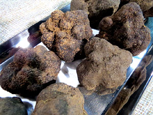 X Jornades gastronòmiques de la tòfona 2016