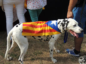 Festival Catalunya vol viure en llibertat i amb dignitat a Girona