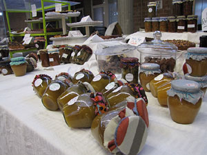Eco.Si 2014. Fira de la cultura ecològica de Girona