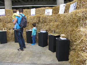 Eco.Si 2014. Fira de la cultura ecològica de Girona