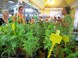 Eco.Si 2015. Fira de la cultura ecol&ograve;gica de Girona