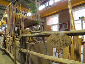 Eco.Si 2015. Fira de la cultura ecol&ograve;gica de Girona